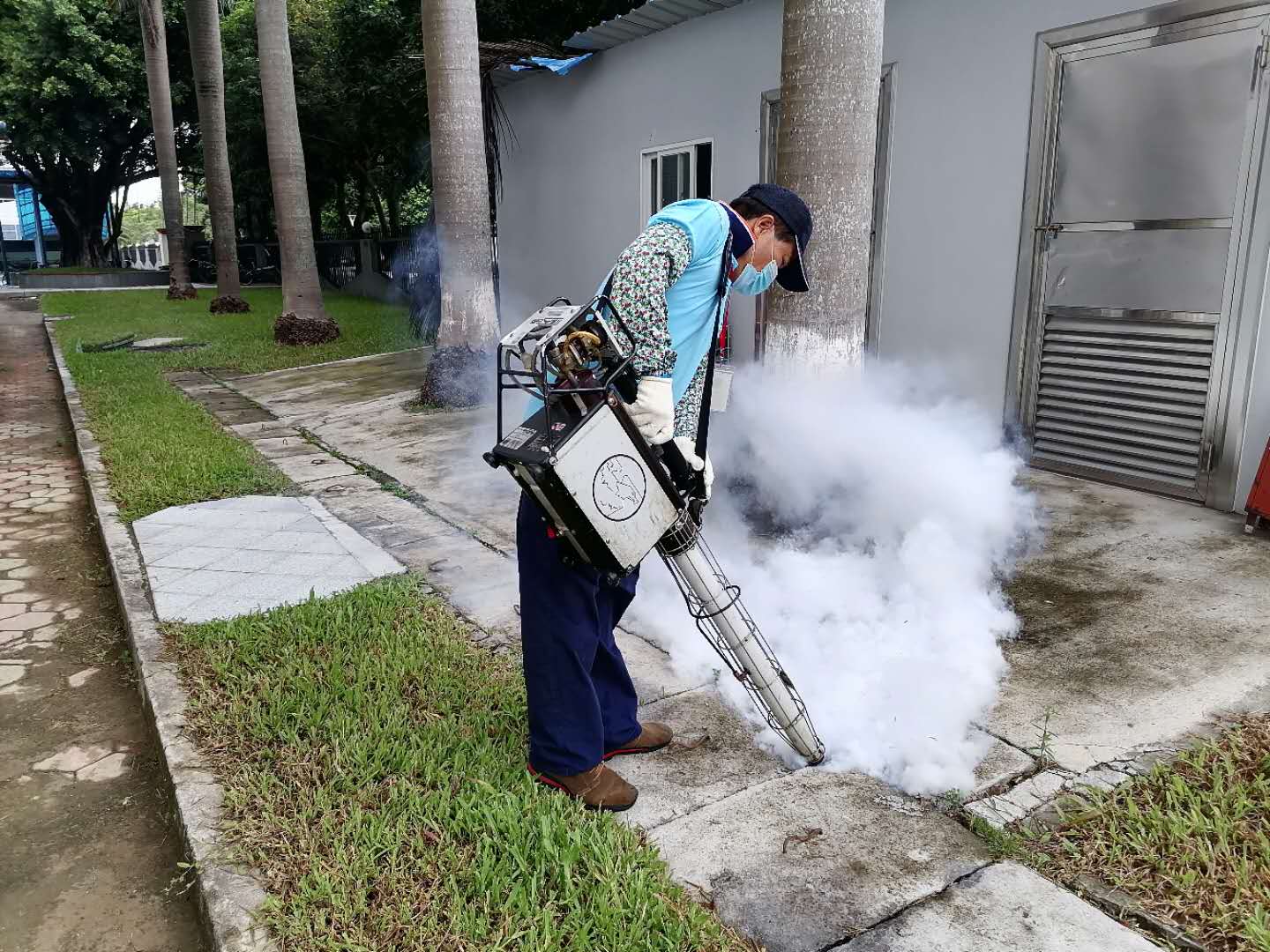 白蕉附近有害生物防治收費(fèi)標(biāo)準(zhǔn)